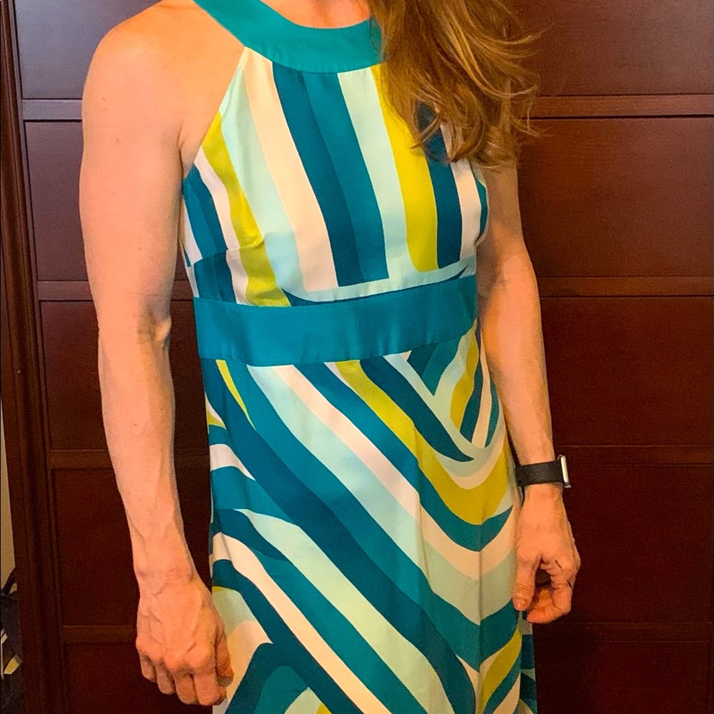 Ann Taylor Spring Dress knee length